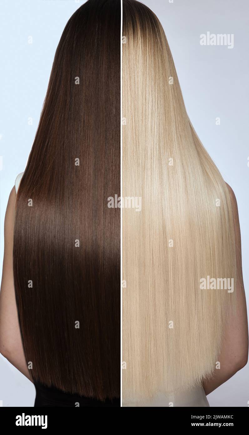 Woman before after hair coloring. Rear view, blond and brunette. Stock Photo