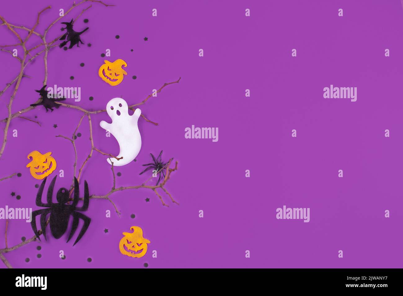 Halloween decorations pumpkins spiders with black confetti on violet ...