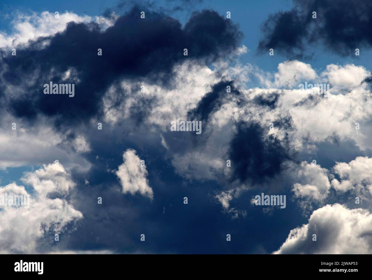 Cumulus Clouds in Sydney, NSW, Australia. (Photo by Tara Chand Malhotra) Stock Photo