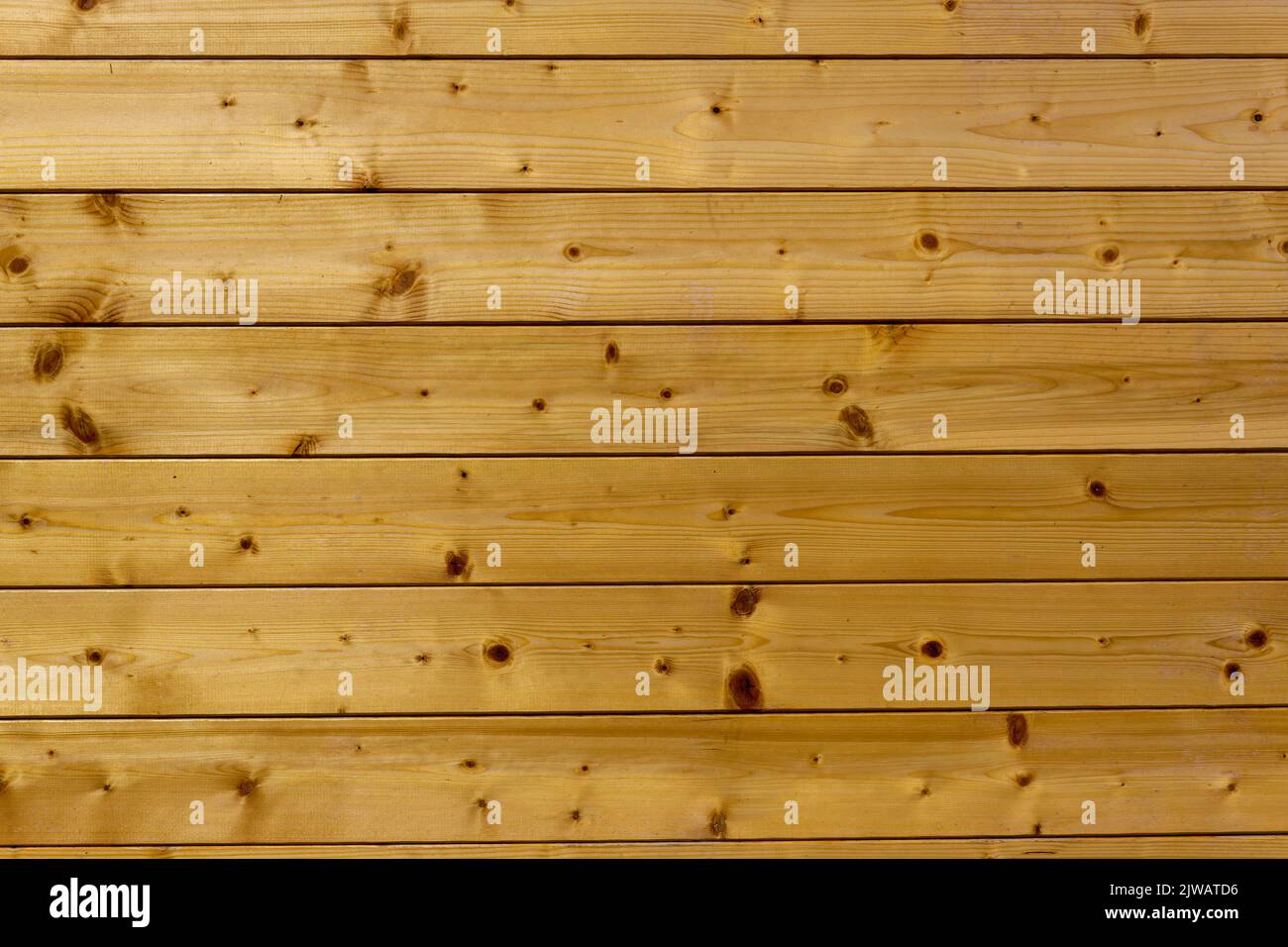 Yellow pine wood planks wall texture background flat frontal smooth