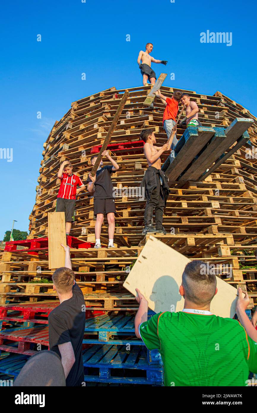 Kids stack pallets over the weekend in preparation for the bonfire marking a Catholic feast day of the Assumption of the Virgin Mary in the Bogside Stock Photo