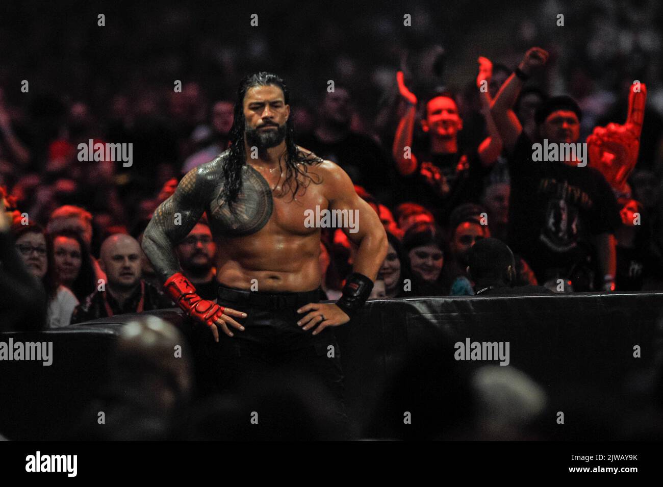 Wwe Roman Reigns