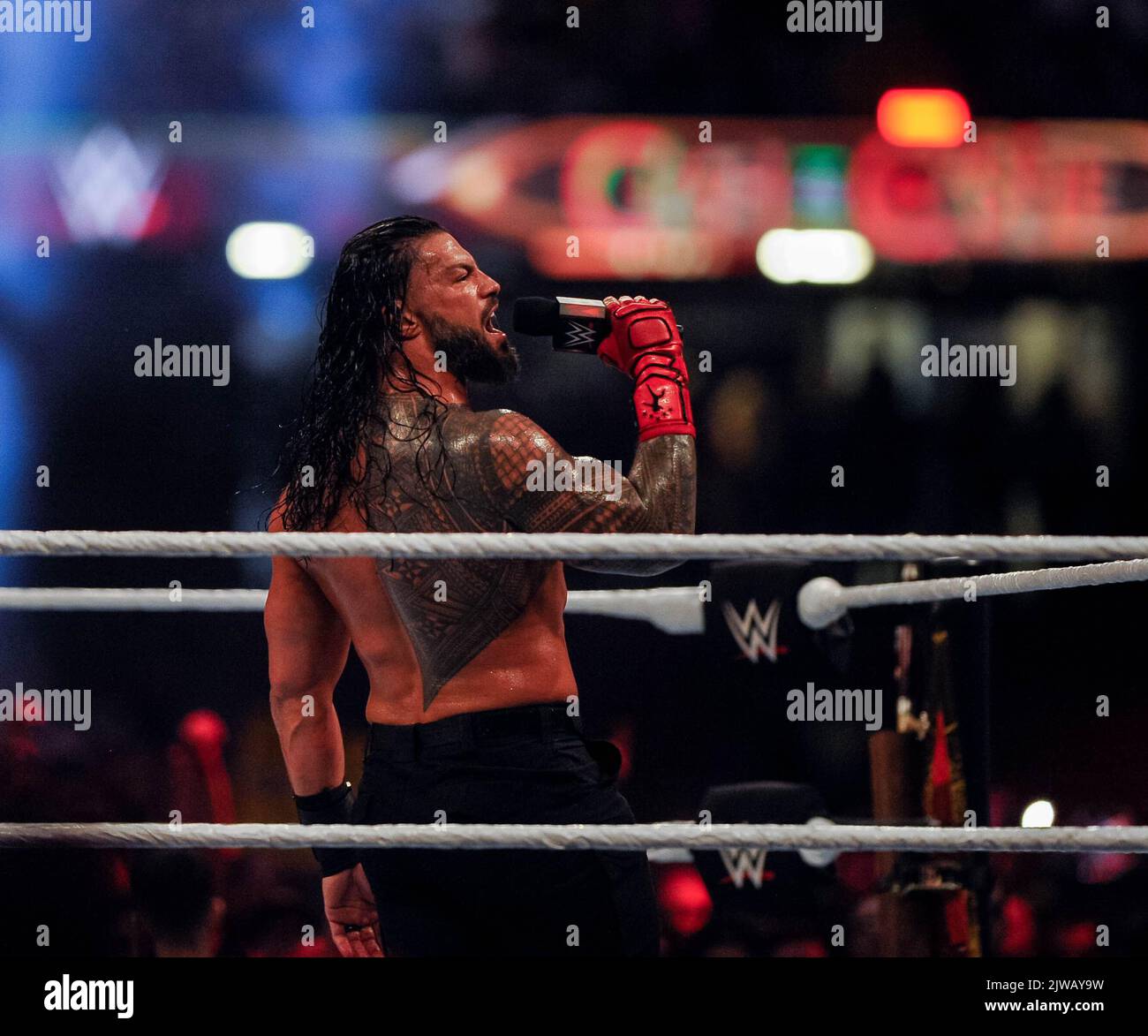 Www Xxiv Com 2022 Roman Reigns