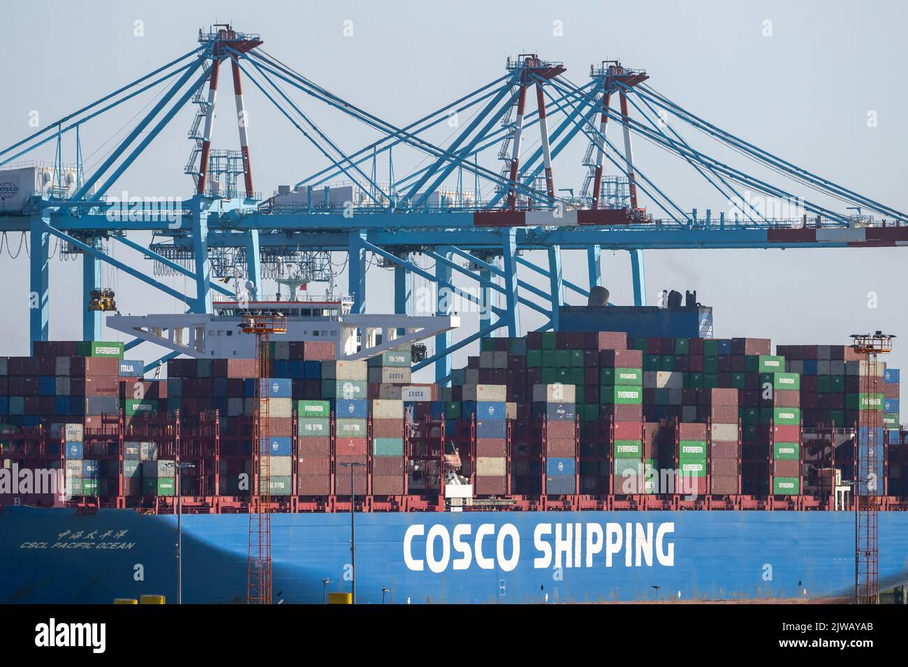 A Cosco Shipping cargo ship at dock in Bruges, Belgium. Stock Photo