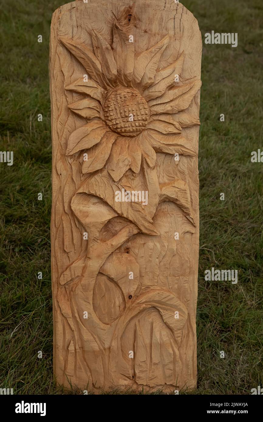Chainsaw carving on a piece of wood of a sunflower at a game show Stock