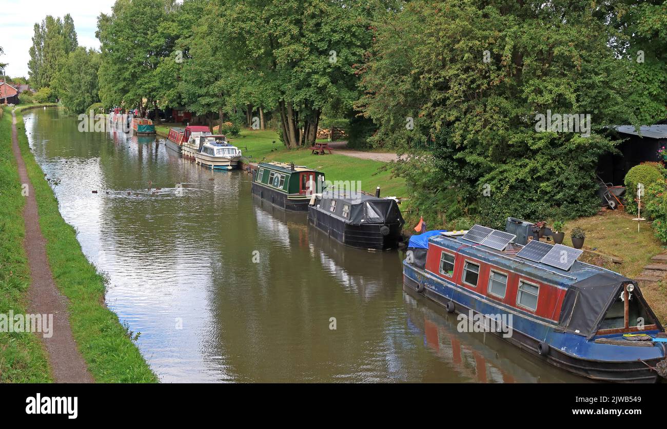 Bridgewater Canal barges at Moore, Halton, Cheshire, England, UK, WA4 6UD Stock Photo