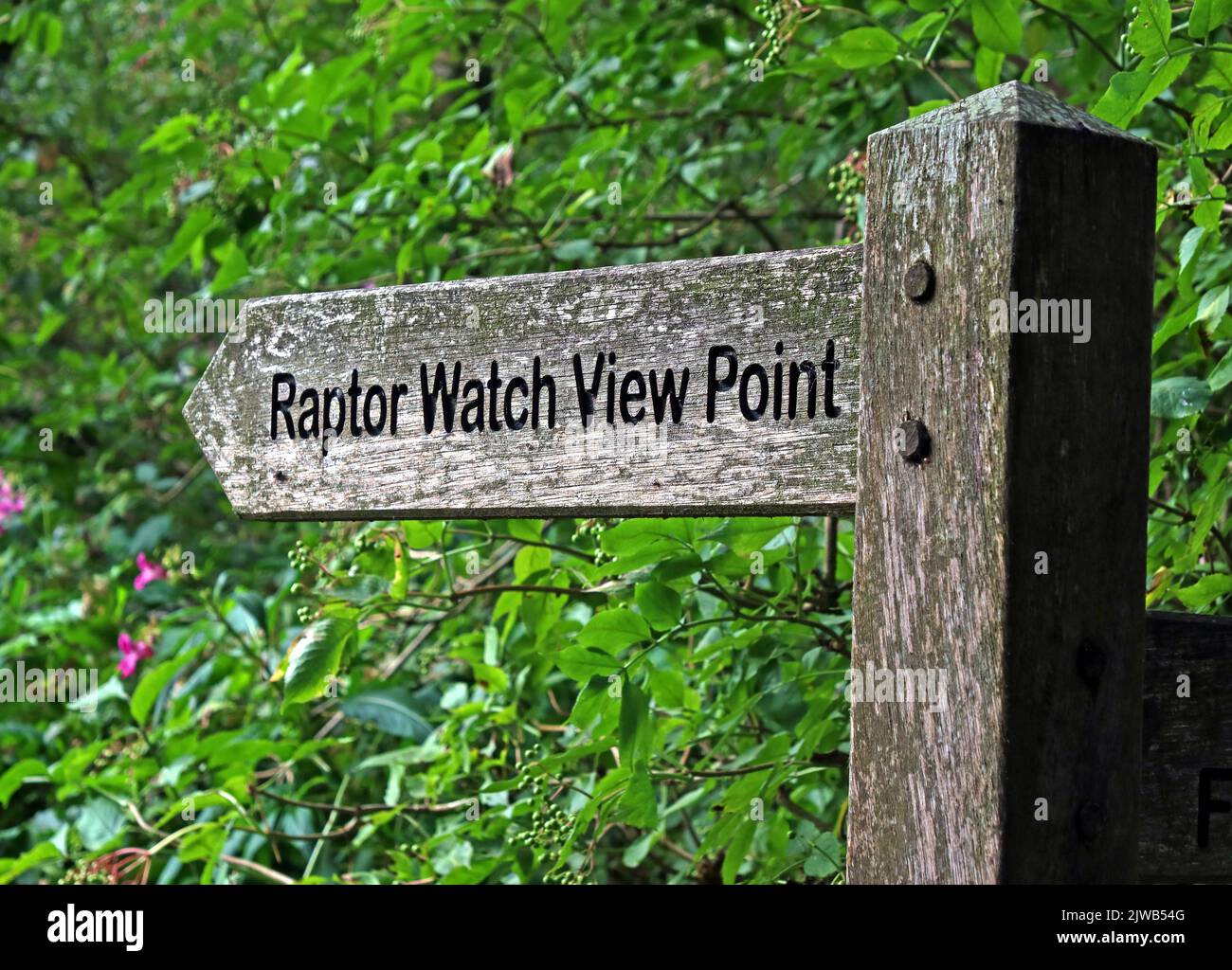 Moore nature reserve , Raptor Watch View Point sign, Lapwing Ln, Penketh, Cheshire, Warrington, Cheshire, England, UK,  WA4 6XE Stock Photo