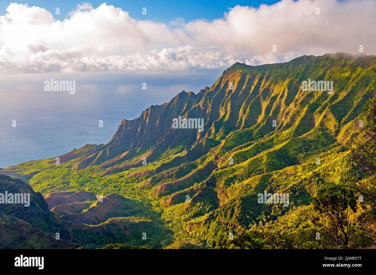 Evening Light on a Tropical Valley in the Kalalau Valley on Kauai Stock Photo