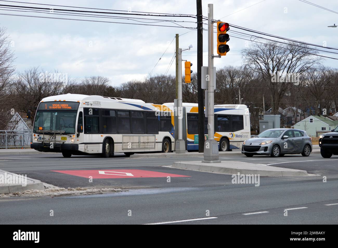 A Halifax Transit articulated bus using a queue jump lane, a type of transit priority measure, on Bayers Road in Halifax, Nova Scotia Stock Photo