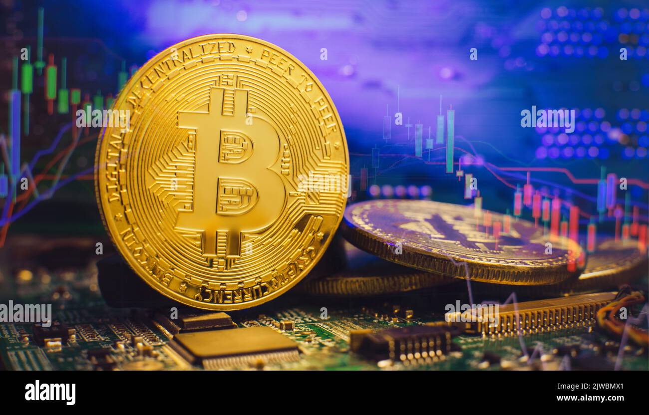 Bitcoin black wallet hi-res stock photography and images - Page 10 - Alamy