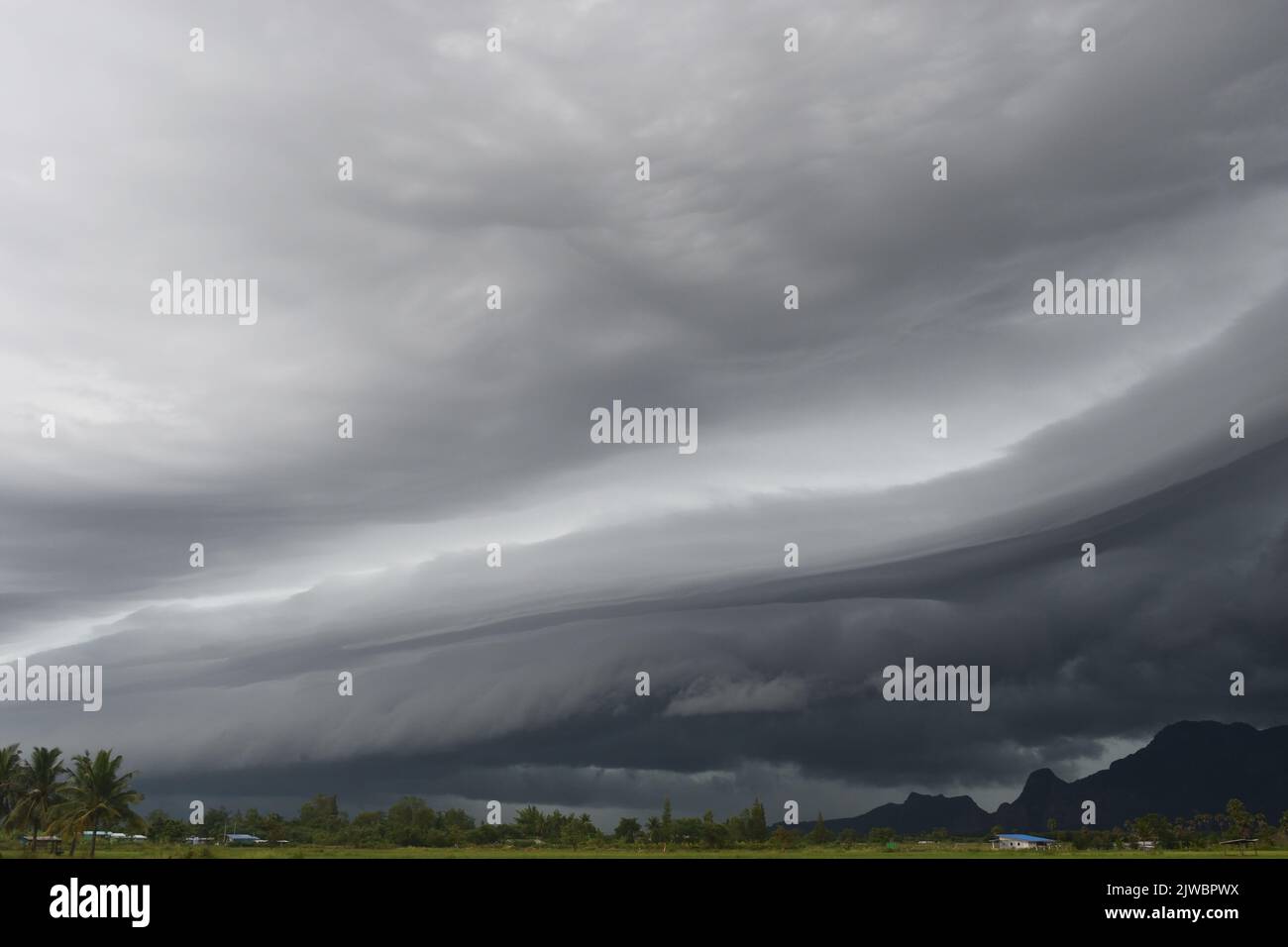 Gray Cumulonimbus cloud formations on sky above mountain, Nimbus moving with rice field,  Arcus cloud rolling in the storm with Appearance of rain clo Stock Photo