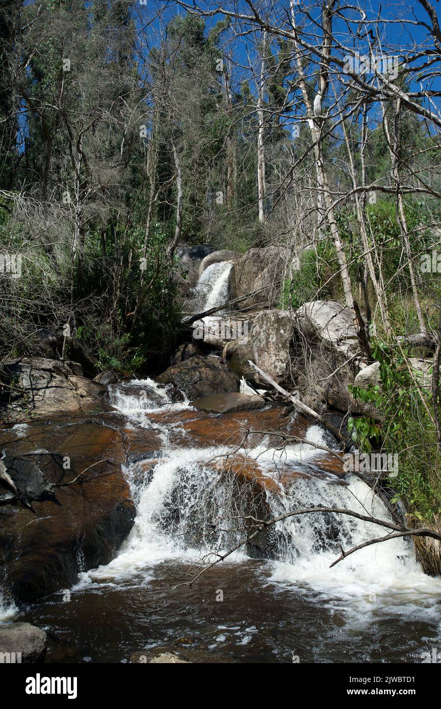 Murrindindi Cascades are a scenic gem on the Murrindindi River, in the Toolangi State Forest, about 5 kms up a gravel road, used by logging trucks. Stock Photo
