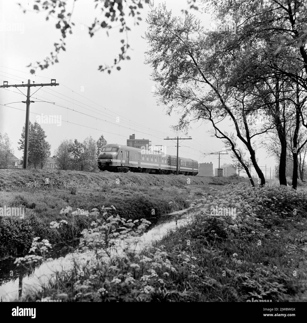 Image of a scene from the program 