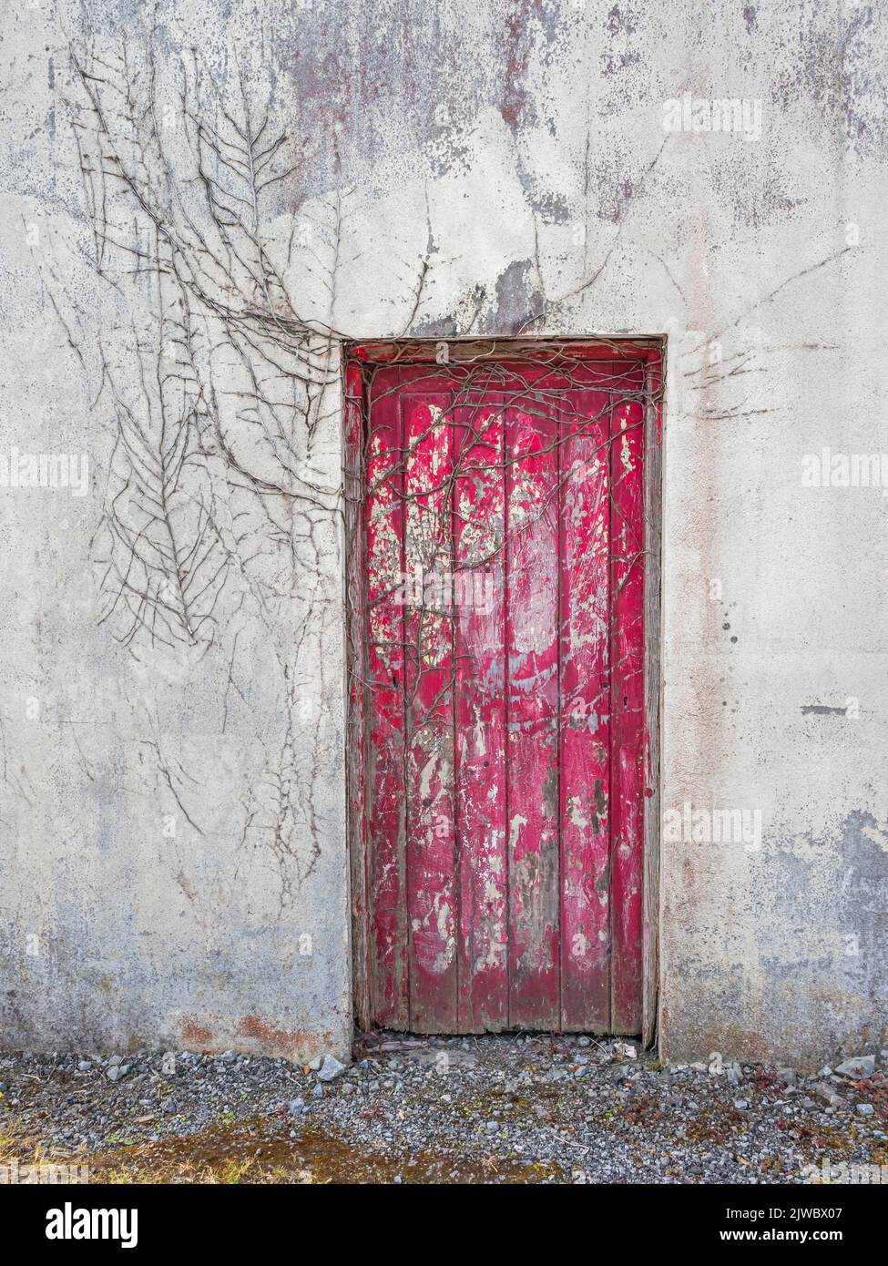 An old red door in the village of Cong, on the border of County Galway and County Mayo in Ireland. Stock Photo