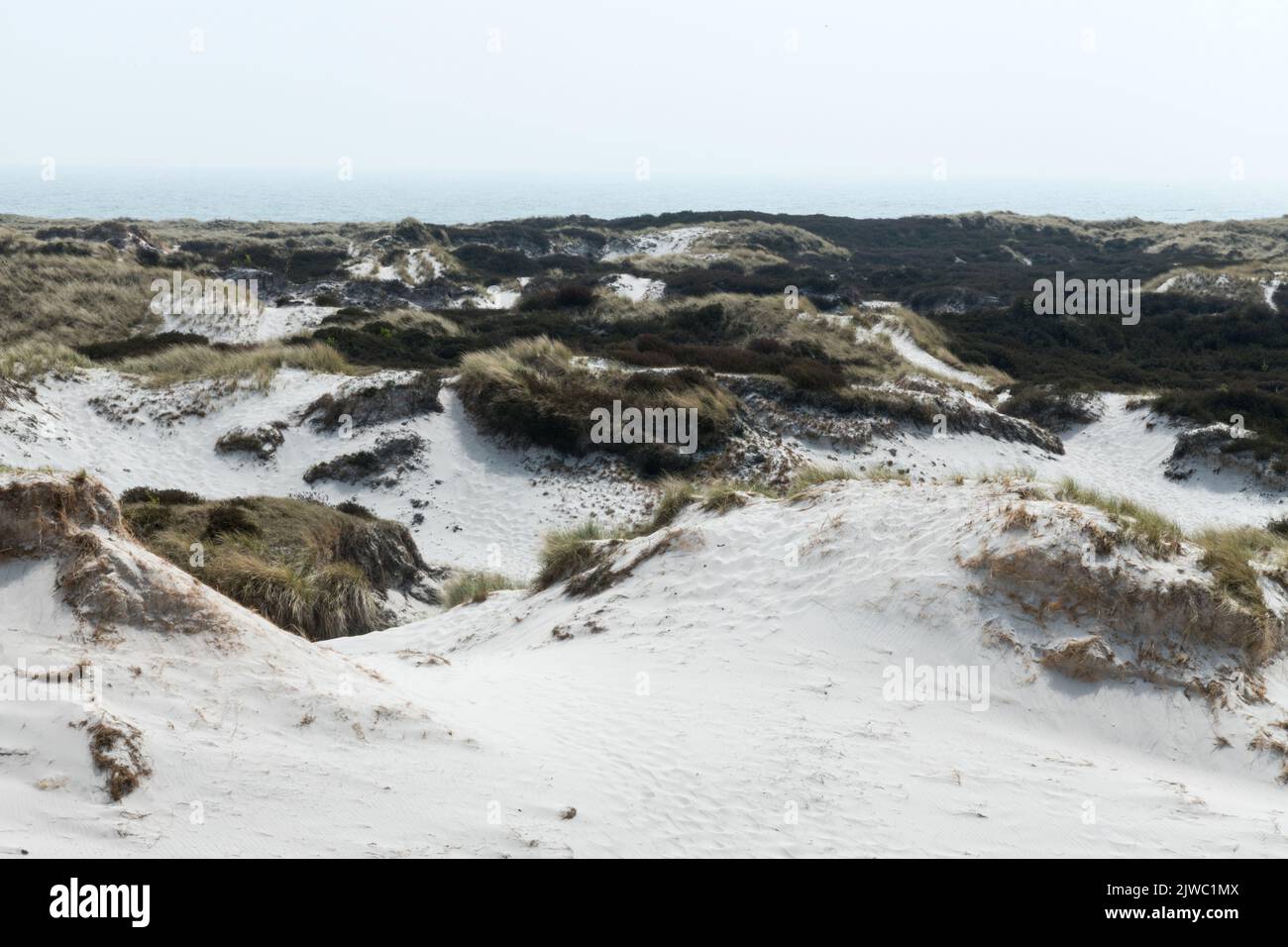 dune and white sands with lighthouse, Dueodde, isle of Bornholm Denmark Stock Photo