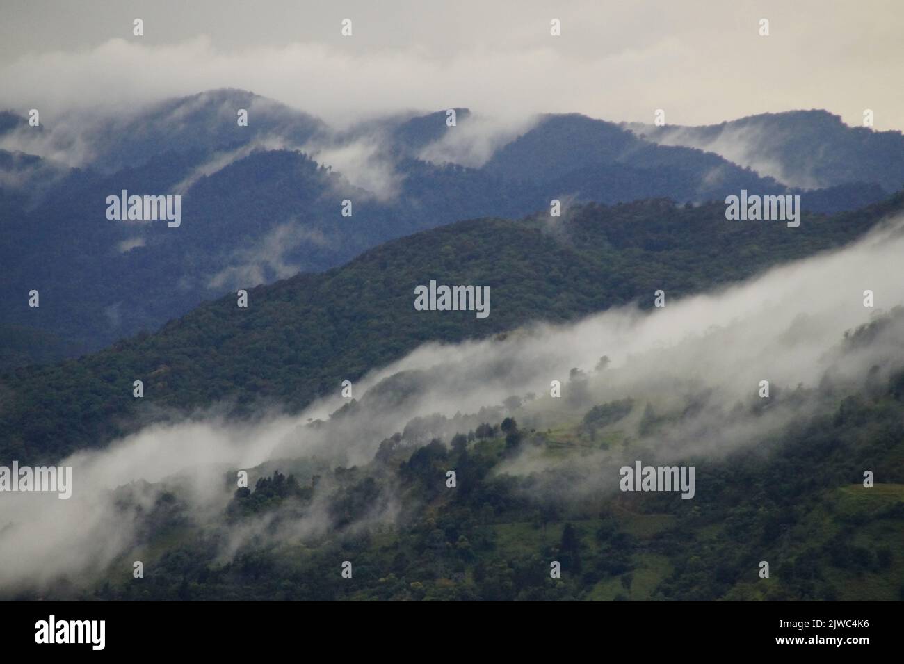 A breathtaking landscape with foggy lush green mountain forests Stock ...
