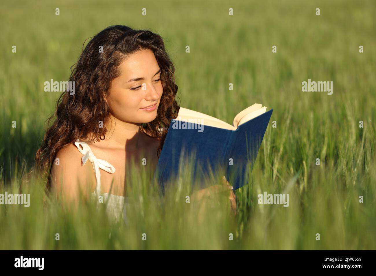 Woman reading a paper book sitting in a green wheat field Stock Photo