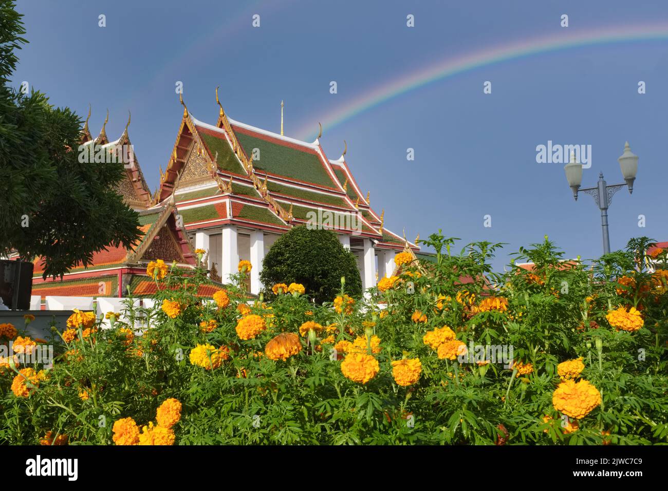 During the rainy season, a rainbow appears over Wat Ratchanadta, a landmark Buddhist temple in Bangkok, Thailand; marigold flowers in the foreground Stock Photo