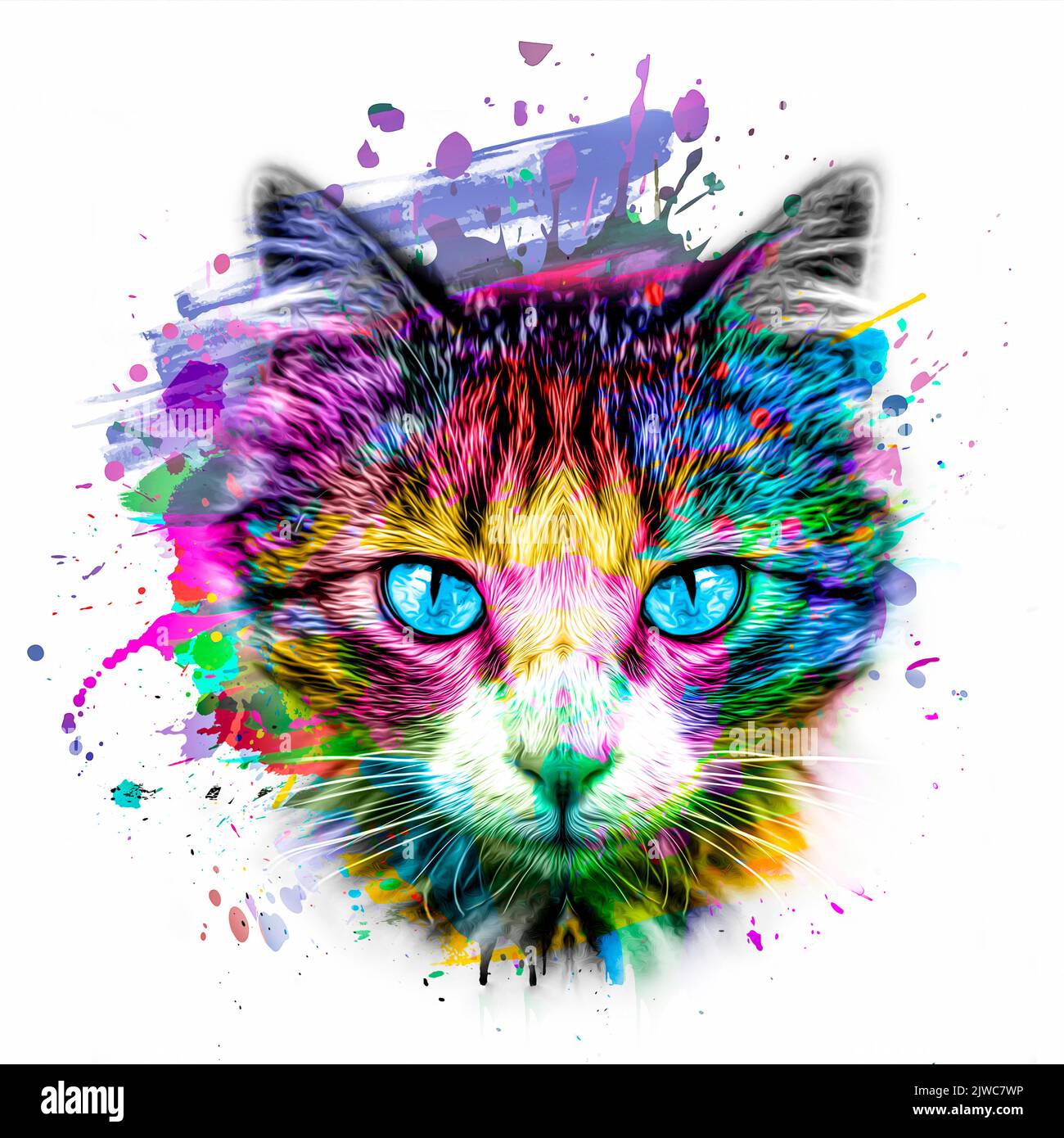 abstract colorful cat muzzle illustration, graphic design concept color ...