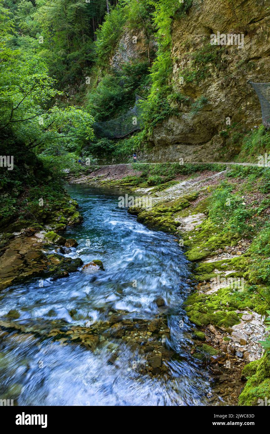 Vintgar Gorge landscape with Radovna river in Triglav National Park, Slovenia. Stock Photo