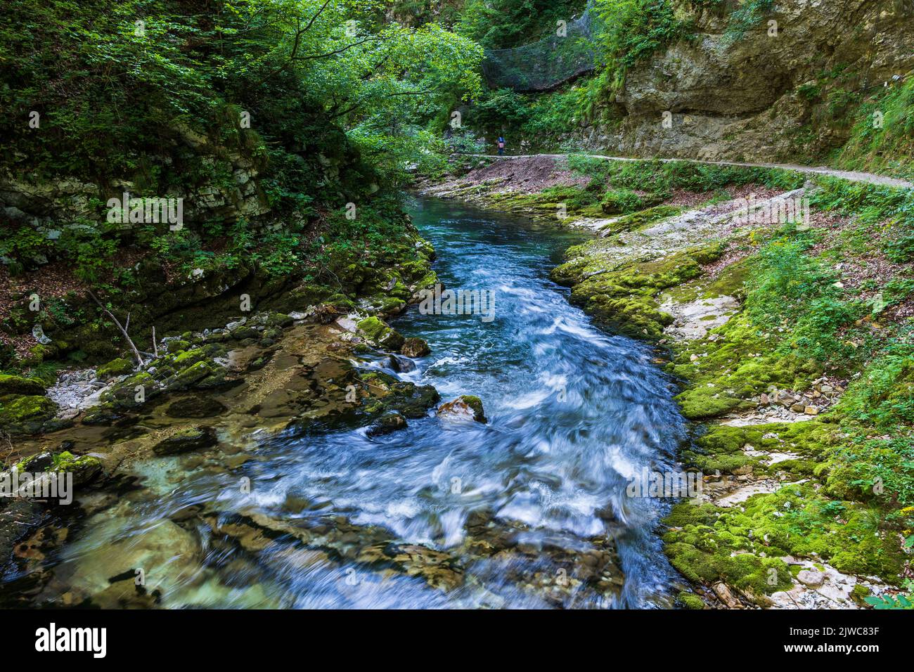 Vintgar Gorge landscape with Radovna river in Triglav National Park, Slovenia. Stock Photo