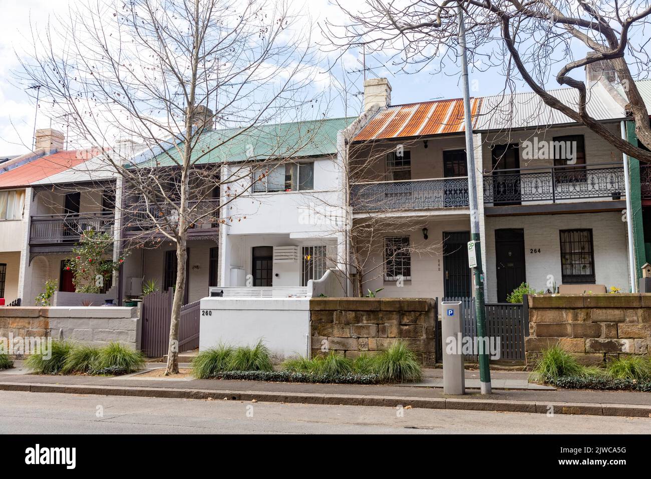 Pyrmont in Sydney, traditional terraced Sydney homes on Harris street in the inner city of
