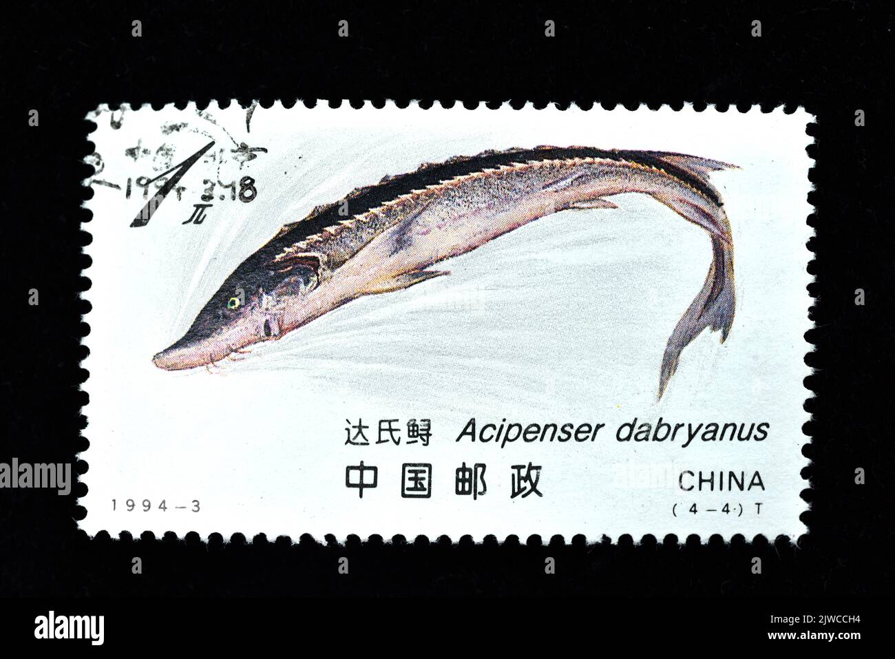 CHINA - CIRCA 1994: A stamp printed in China showsSturgeon Acipenser ...