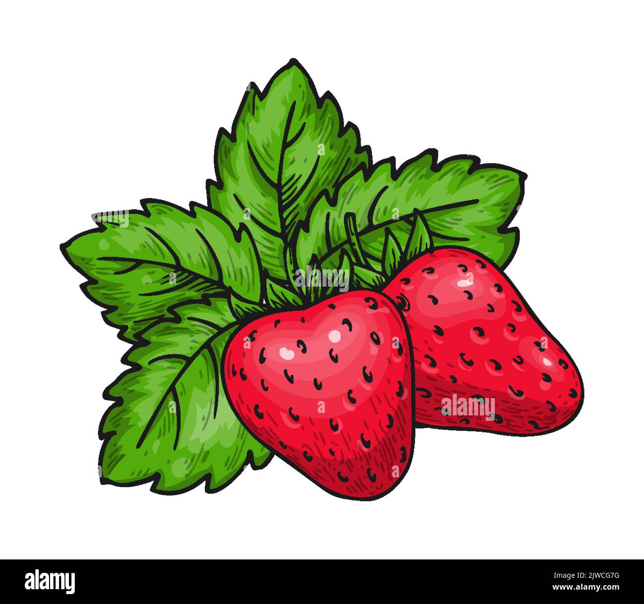 Cartoon strawberry bush hires stock photography and images Alamy