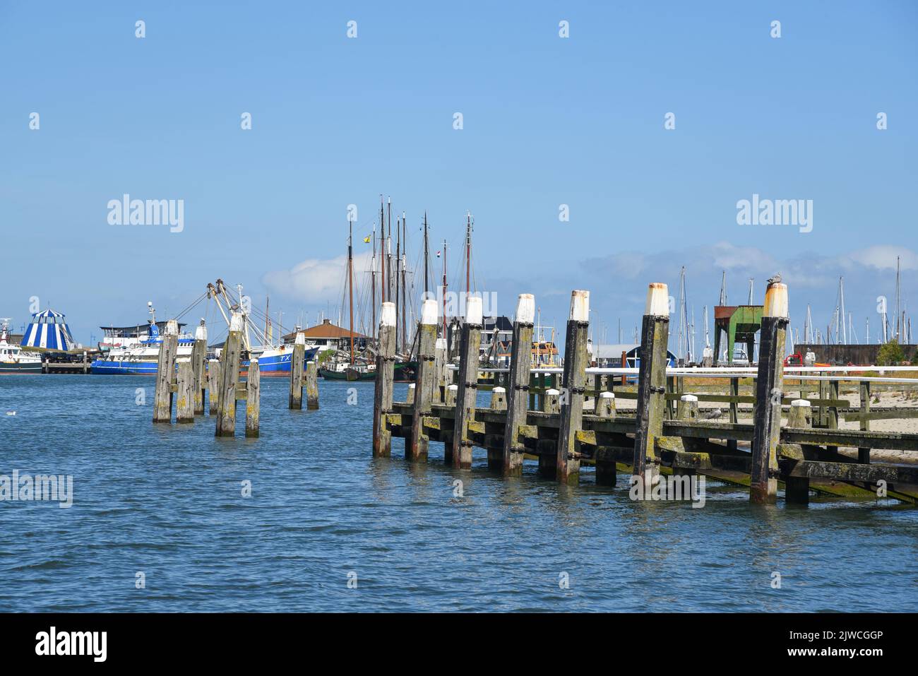 Texel, Netherlands. August 2022. The harbor head of the port of Oudeschild, Texel. High quality photo Stock Photo