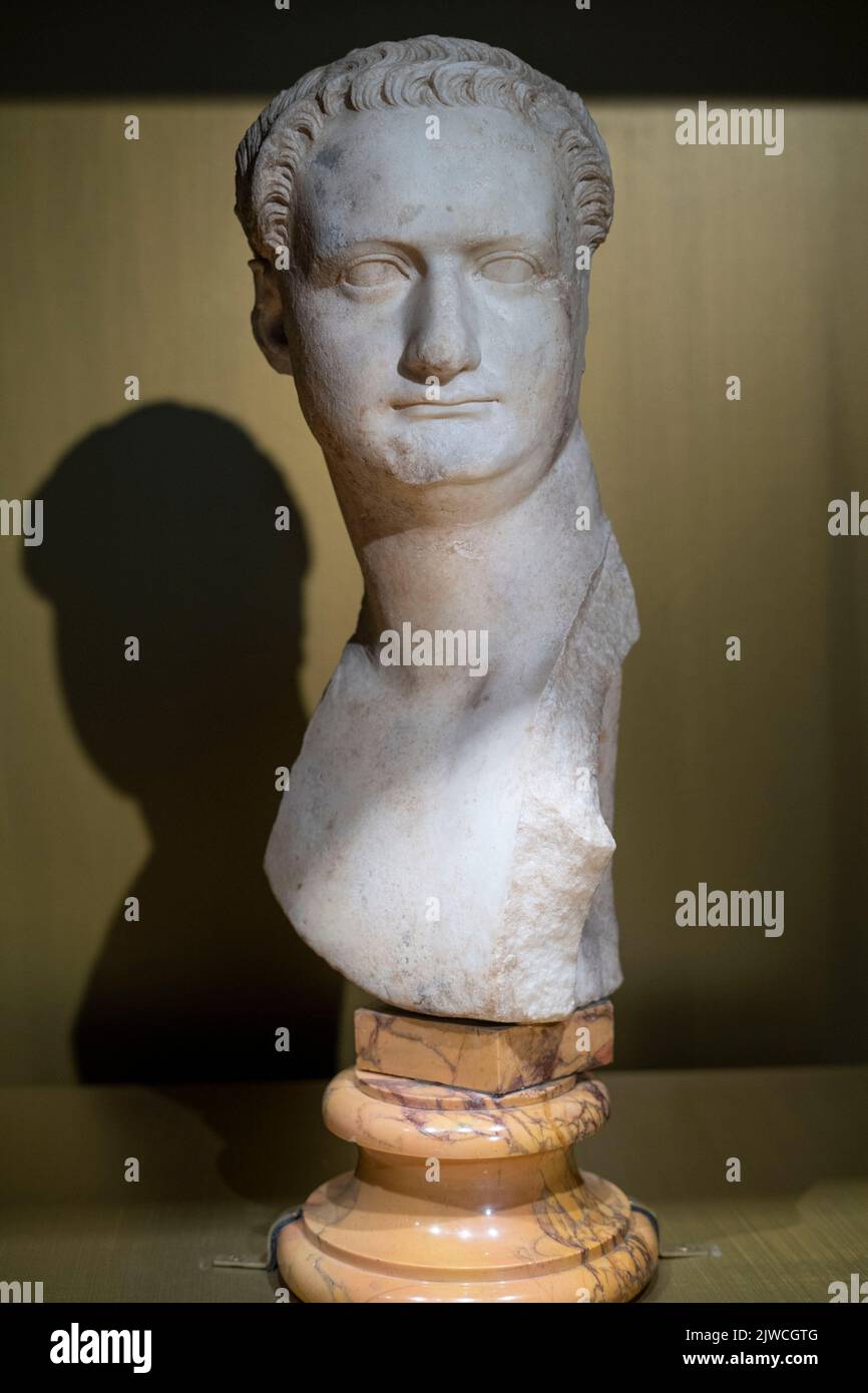 Rome, Italy - Capitoline Museums, Portrait of Emperor Domitian Stock ...