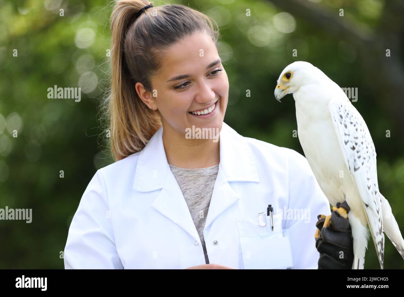 Happy veterinary holding a falcon outdoors in nature Stock Photo