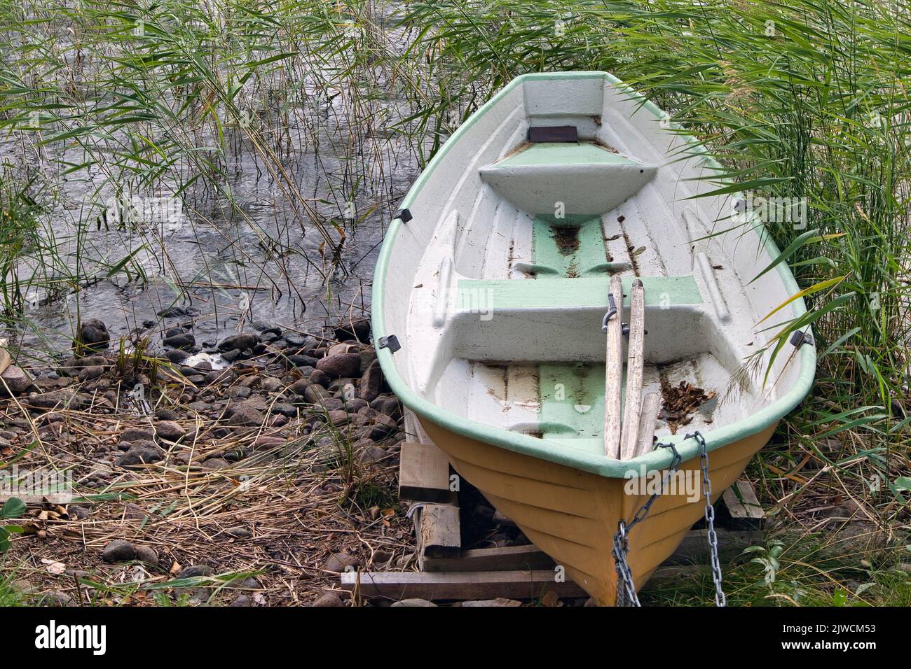 Among The Reeds Reed among the reeds hi-res stock photography and images - Alamy