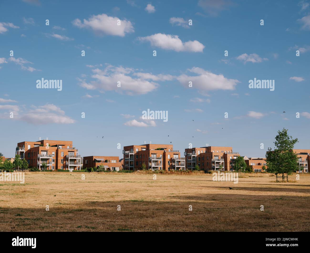 New build apartment blocks and the brown drought grass landscape of