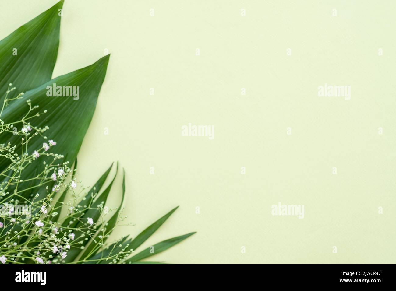 green leaf background natural decor lush foliage Stock Photo
