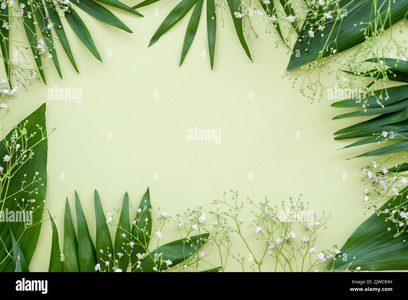 floral frame natural background green leaves decor Stock Photo
