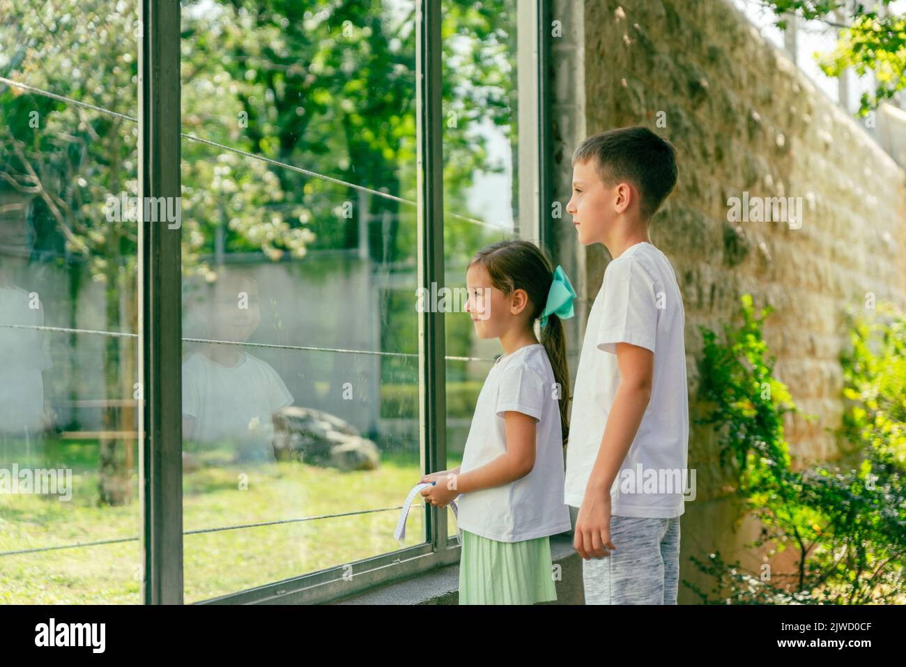 Children watch the animals in the zoo through a protective glass fence Stock Photo