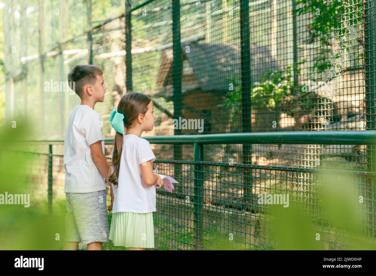 Children observe a cage with birds in the zoo. The girl is holding a notebook and taking notes Stock Photo