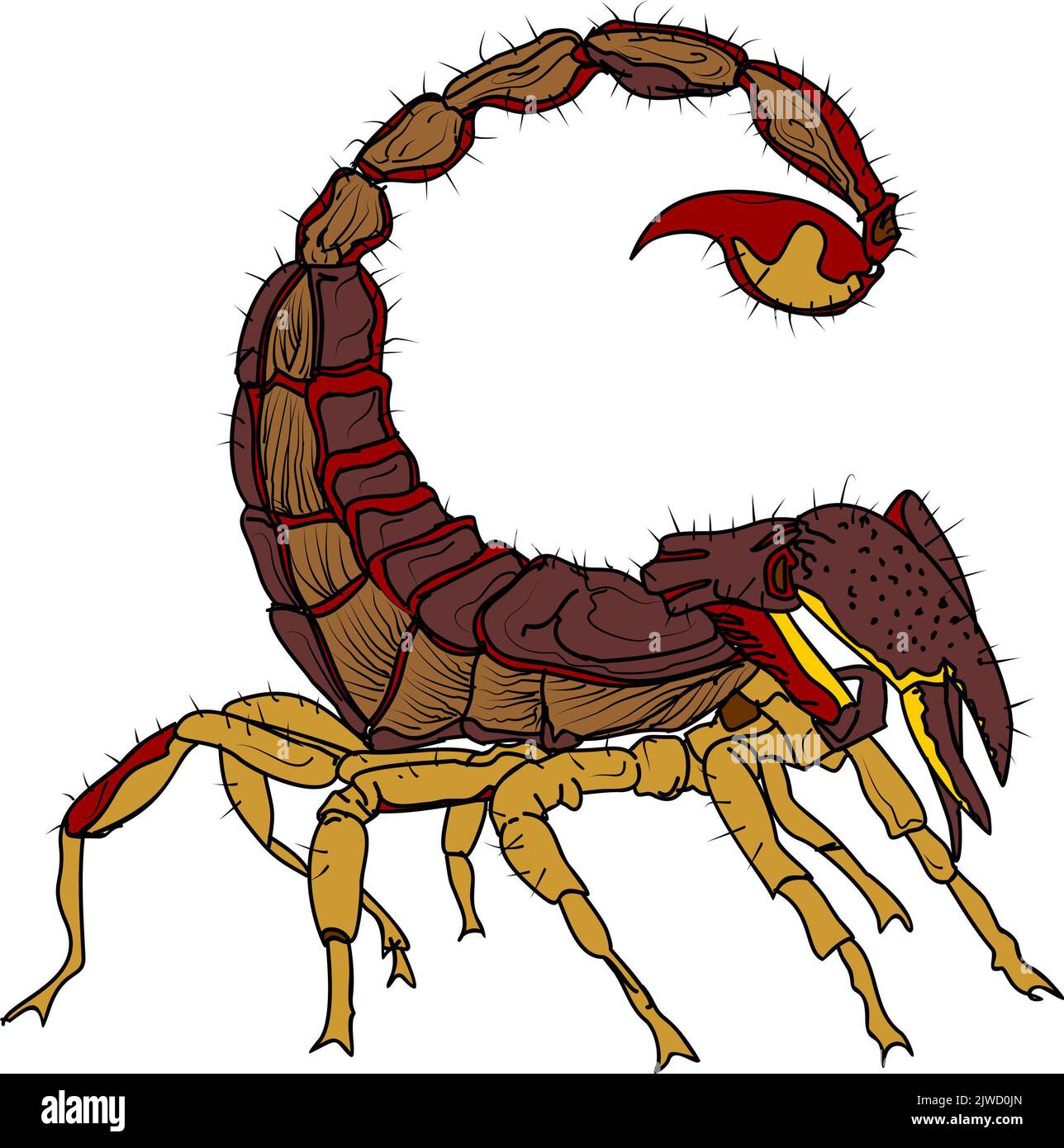 Arthropod Jointed Appendages arthropod-jointed-appendages