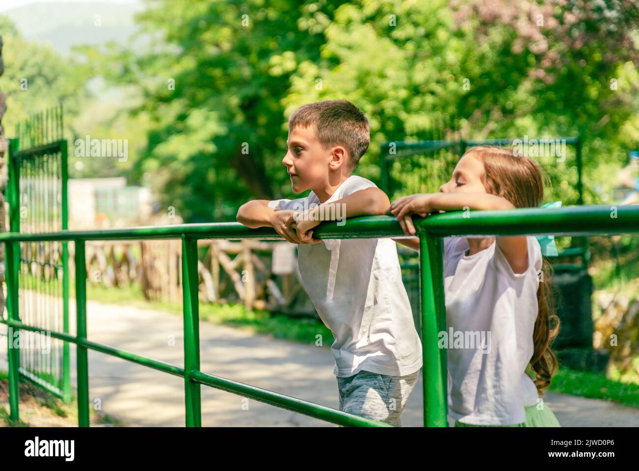 Children are watching the animals in the zoo leaning against the fence. Trees and greenery in the background Stock Photo