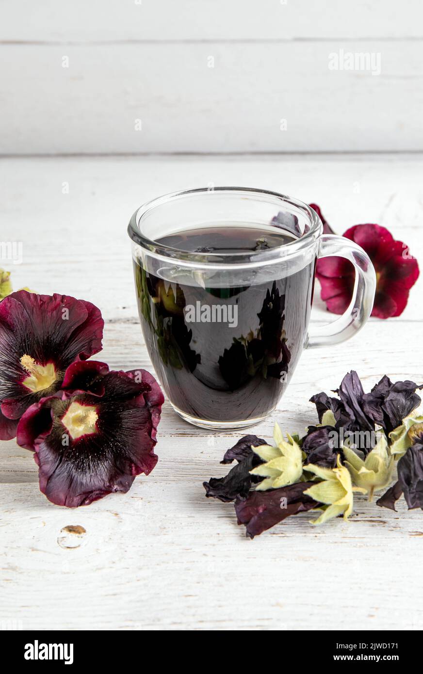 Herbal medicinal tea drink made of Malva sylvestris L. Known as common mallow, cheeses, high mallow and tall mallow. Glass cup with tea on white. Stock Photo
