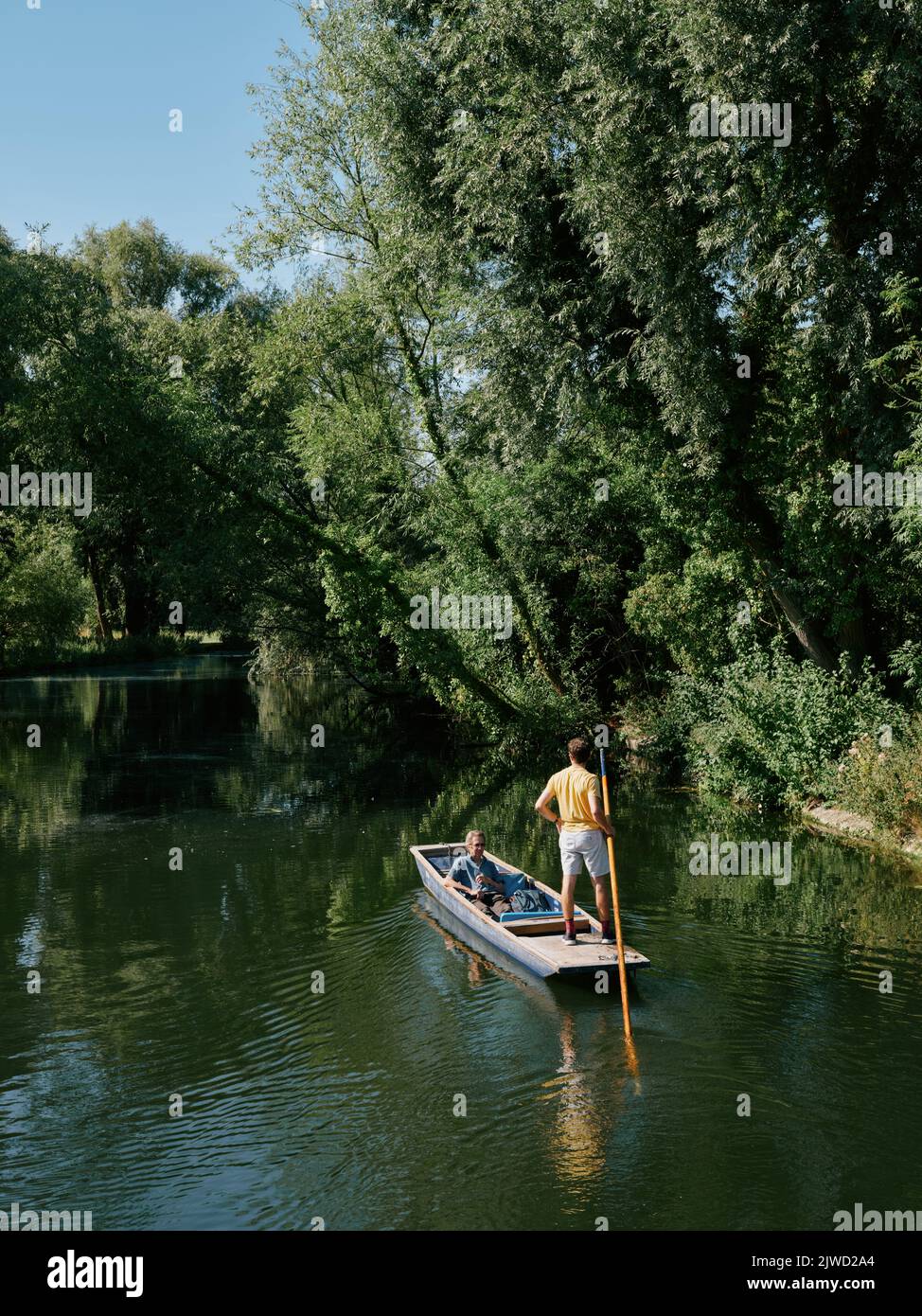 Punting along the river Cam in summer in Cambridge Cambridgeshire England UK - countryside English punt Stock Photo