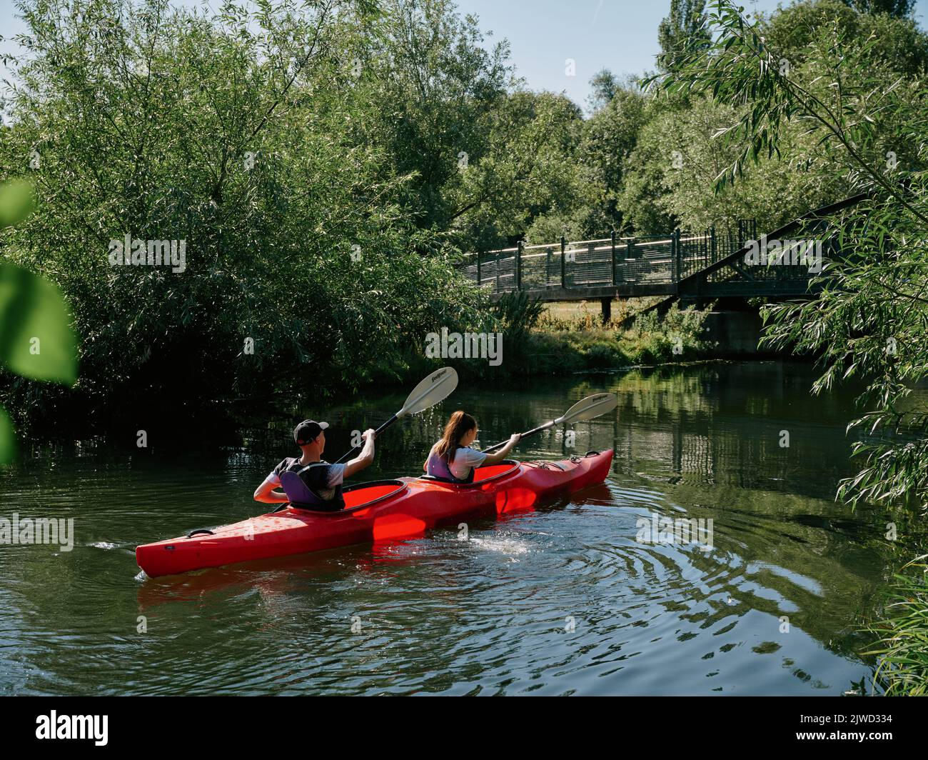 A couple kayaking along the river Cam in summer in Cambridge Cambridgeshire England UK Stock Photo