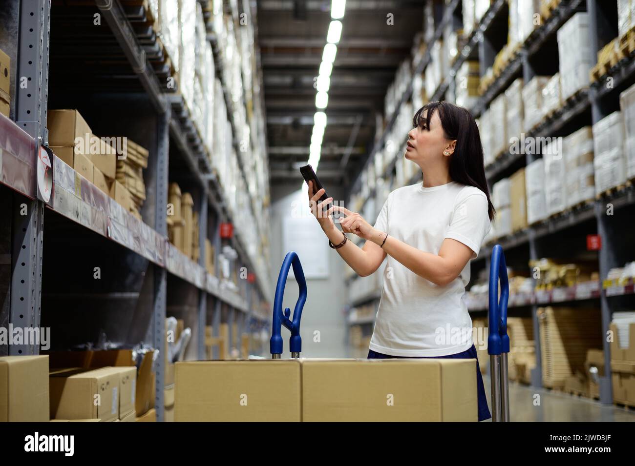 Asian woman using smartphone checking products in a furniture warehouse Stock Photo