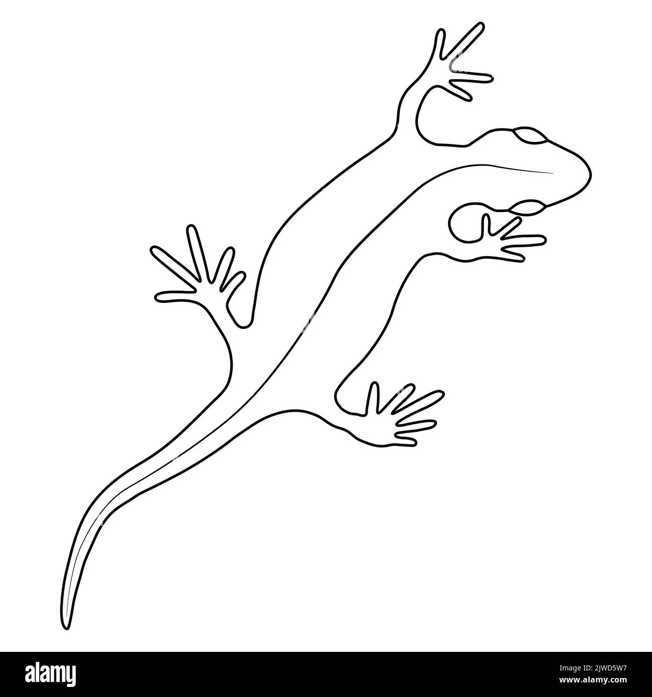 Lizard reptile gecko outline vector illustration. Simple line art