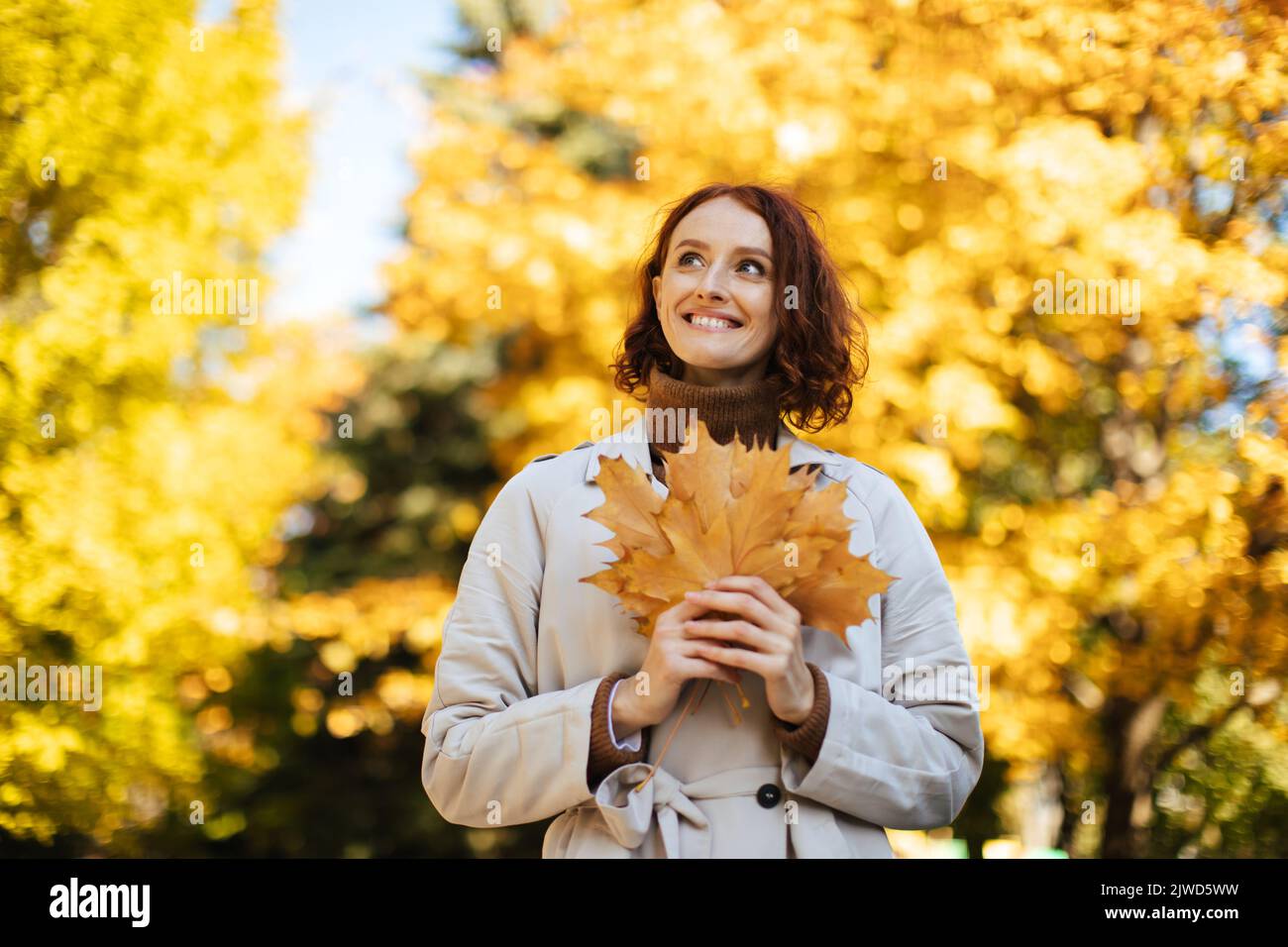 Cheerful young european female in raincoat enjoy good weather, spare time in park and holds yellow leaves Stock Photo