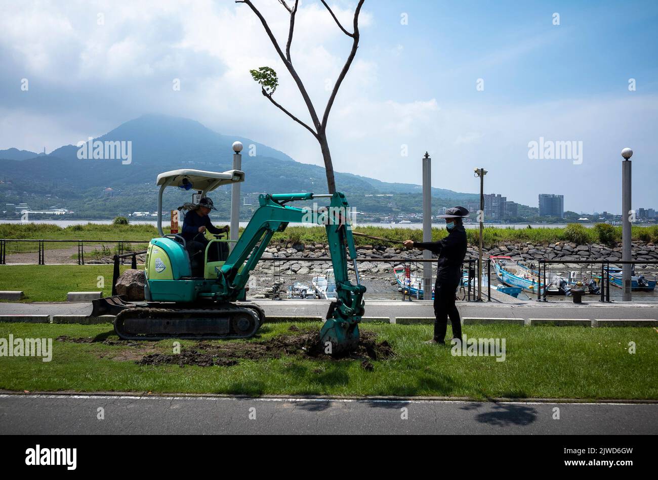 Taipei. 05th Sep, 2022. Workers planting trees damaged by waves caused by high winds and rainfall during Ninnamnor typhoon in Tamsui, Taiwan on 05/09/2022 by Wiktor Dabkowski Credit: dpa/Alamy Live News Stock Photo