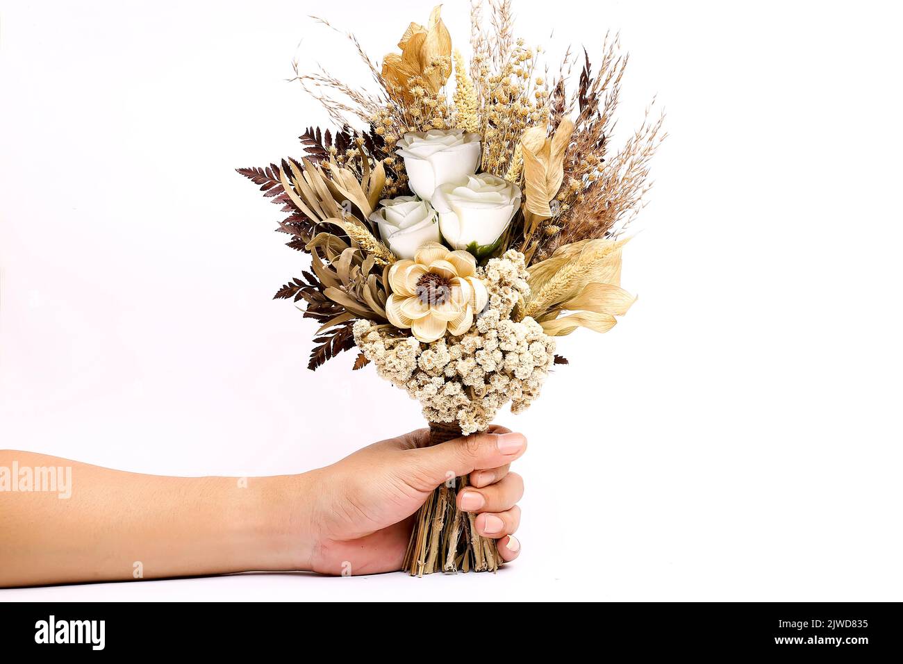 bouquet of edelweiss flowers and dried leaves hand held isolated on white background Stock Photo