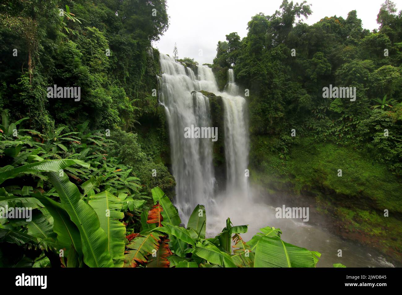 big cascade, beautiful waterfall in green forest Stock Photo