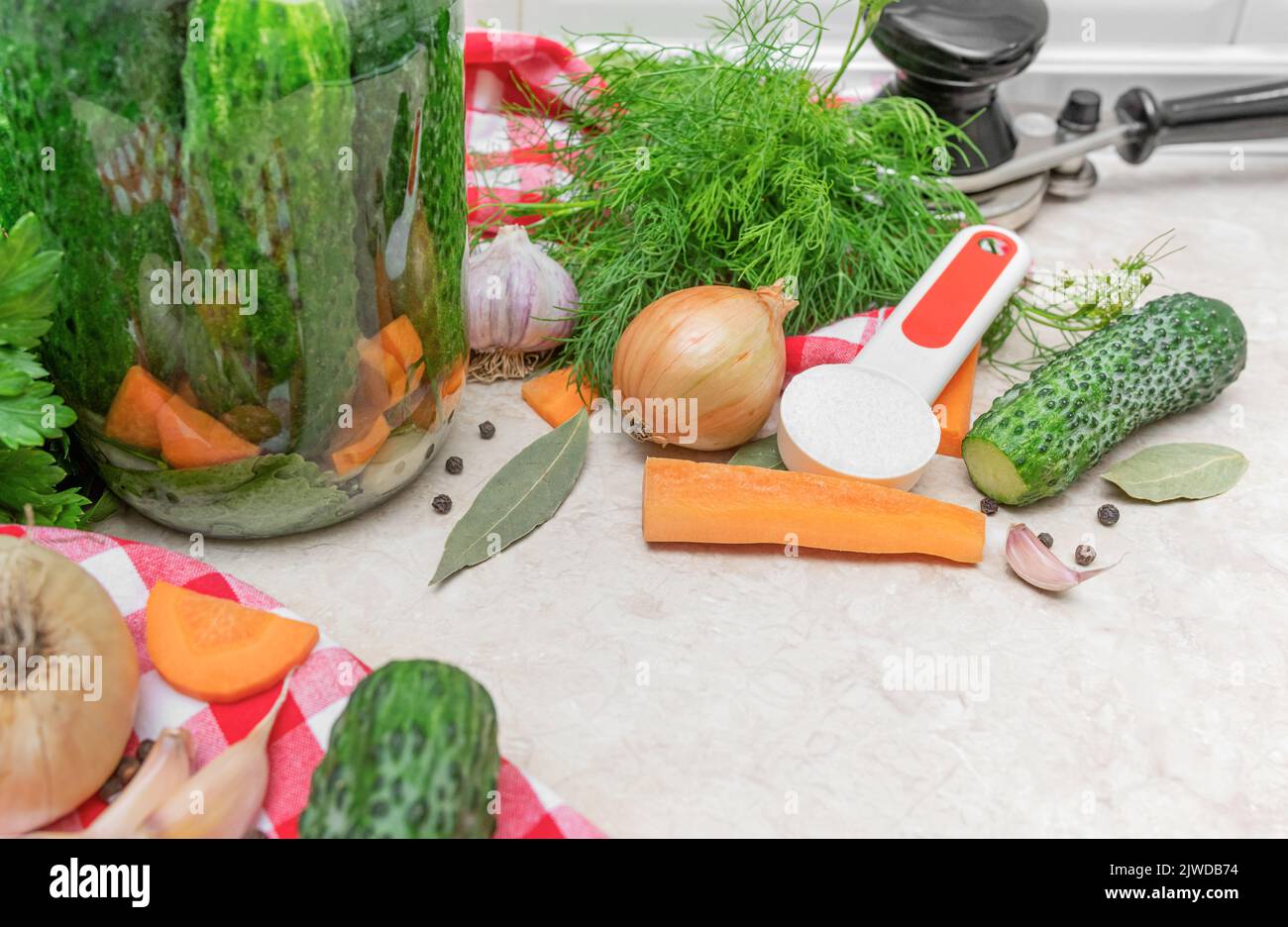 A set of vegetables and spices for cucumber marinade. Stock Photo