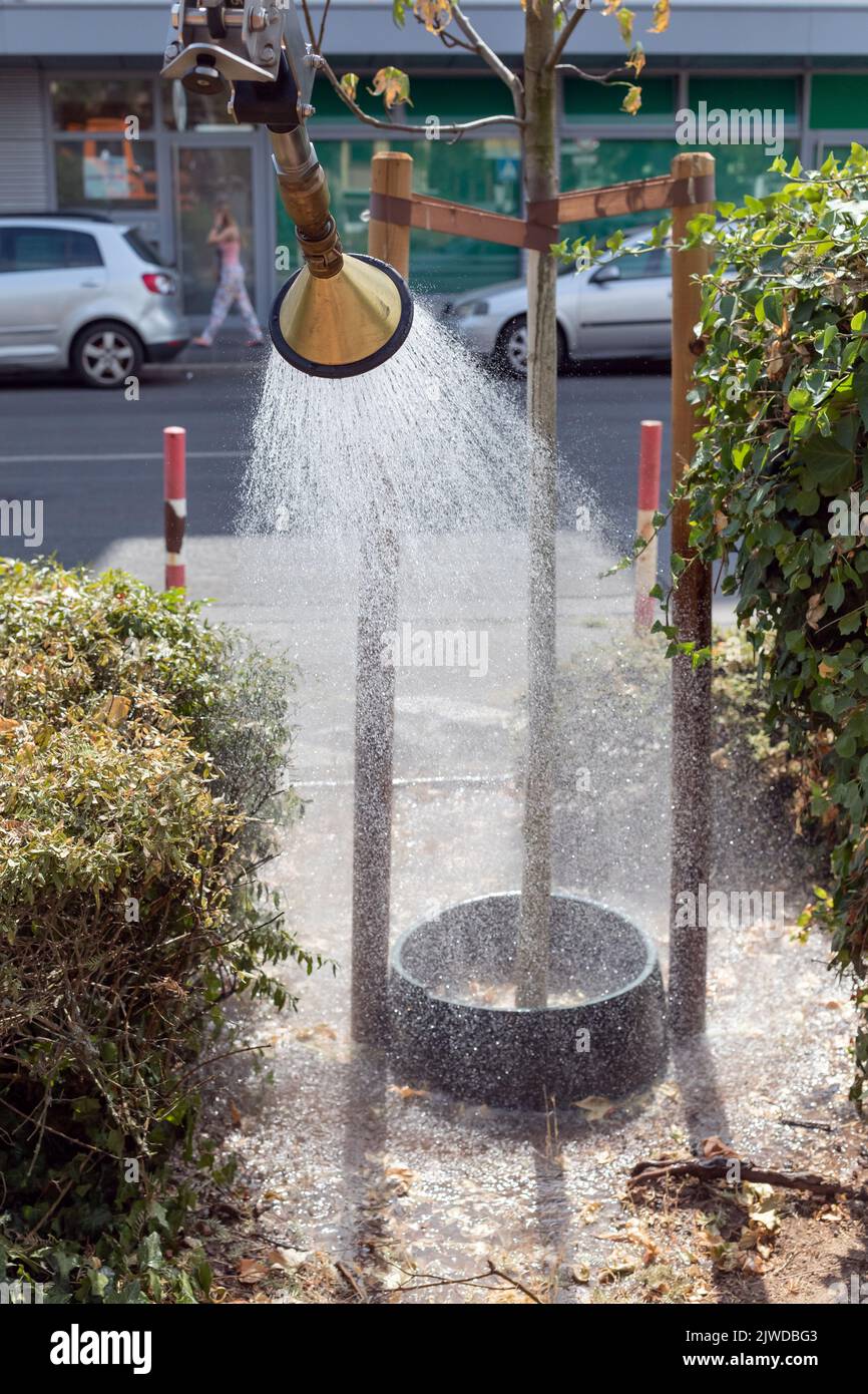 wet shower for small city tree Stock Photo